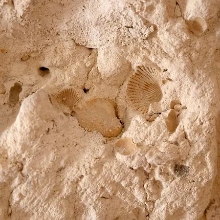 Apulian House Guest house Brindisi