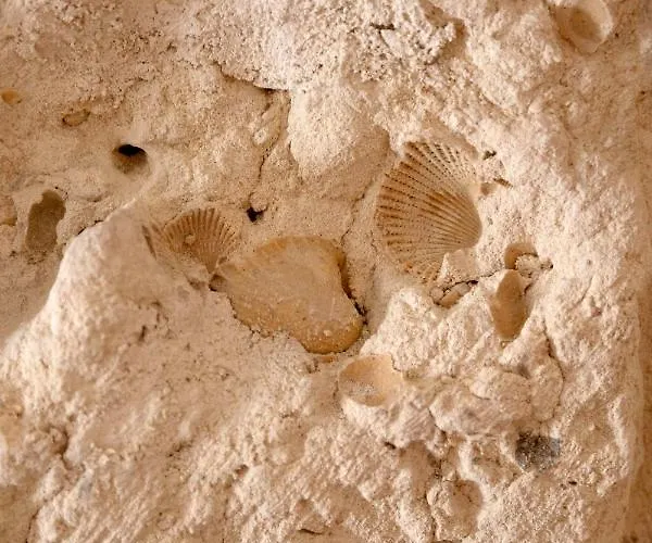 Apulian House Konukevi Brindisi